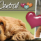 Dog Lover Central