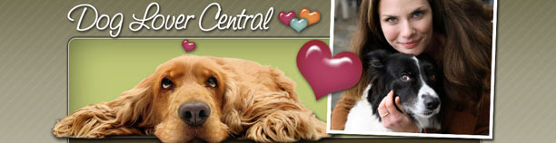 Dog Lover Central